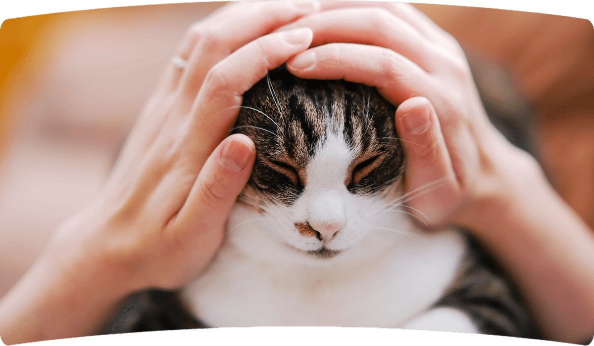 わんちゃん・ねこちゃんと1日でも長く一緒に過ごせるように
